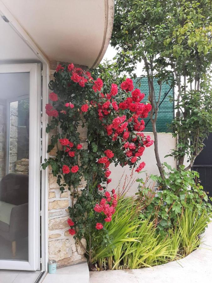 Appartement Climatise Au Calme En Provence Pierrefeu-du-Var Exterior foto